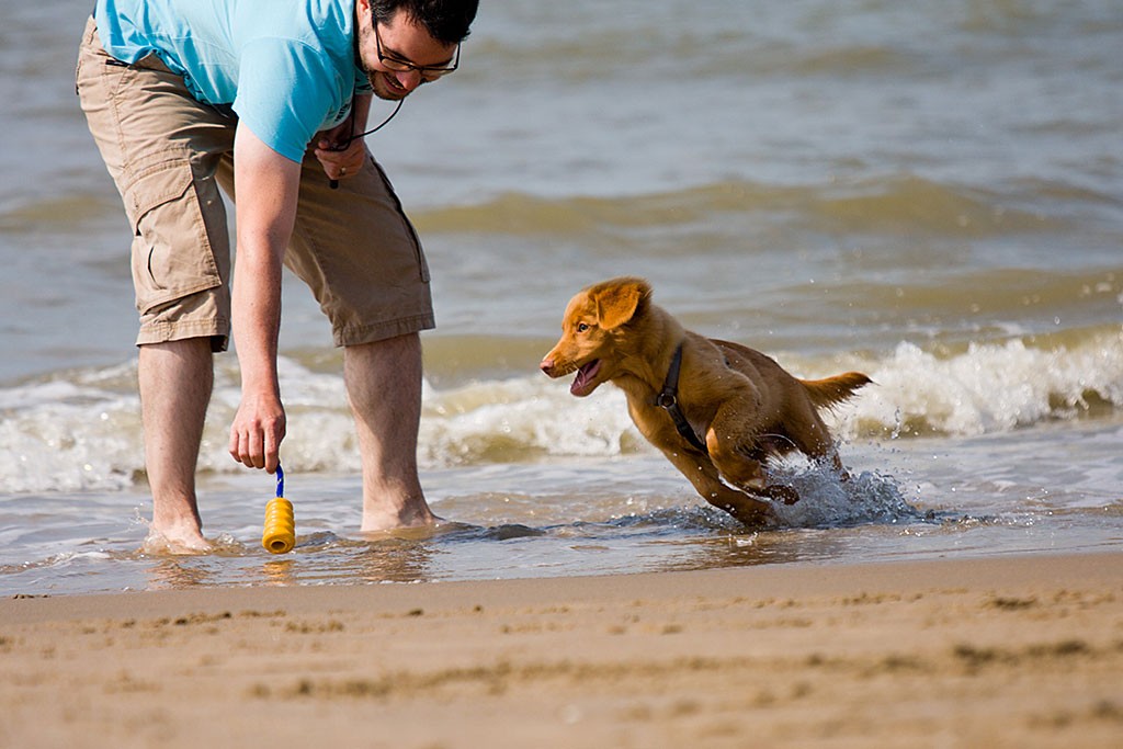 Edison spielt mit Stephan am Strand von Noordwijk