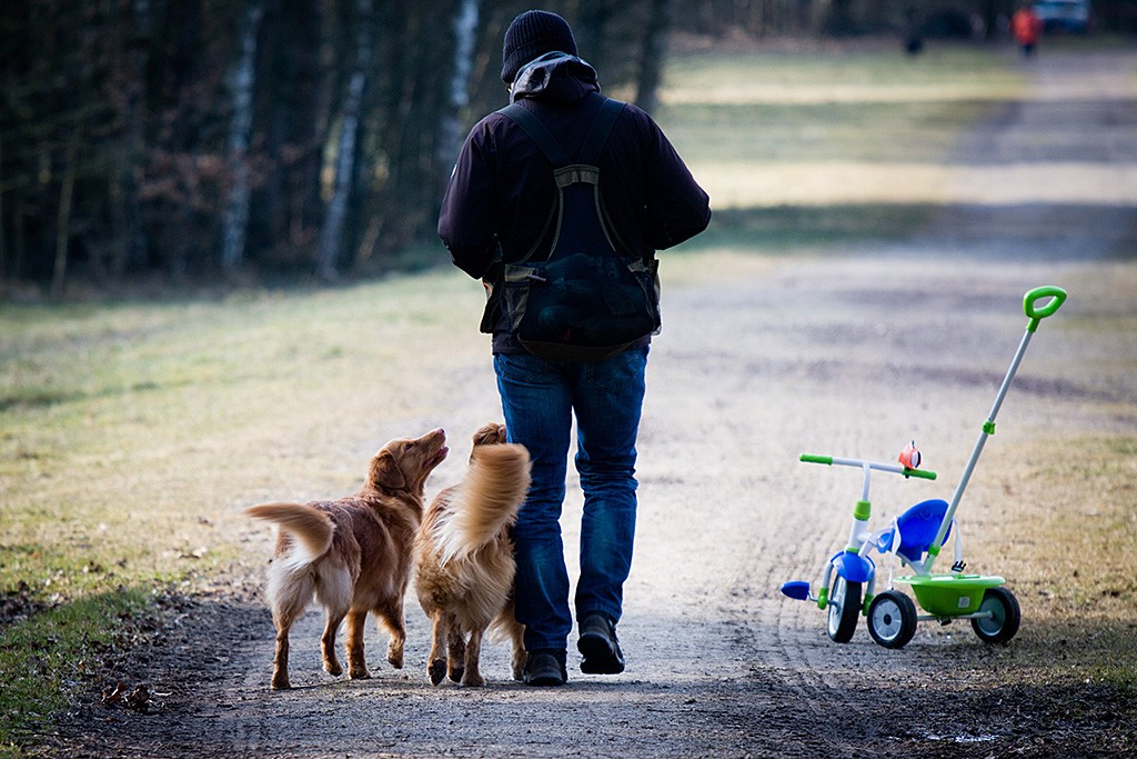 Edison läuft an Stephan Seite, neben ihm Ivalu, beide schauen zu Stephan hoch, rechts daneben steht ein Kinderfahrrad