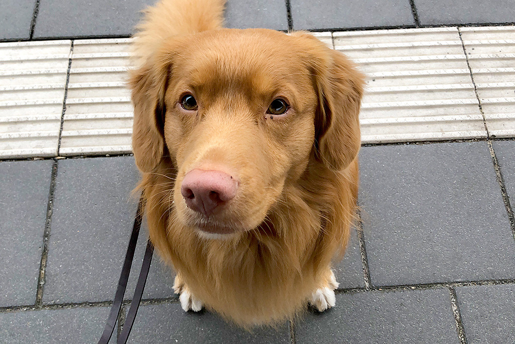 Edison sitzt auf dem Bahnsteig und schaut nach oben in die Kamera